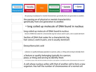 KS3 Genetics and Inheritance