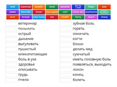 spotlight5 module 5 2