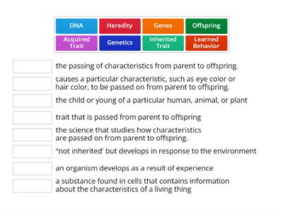 Genetics