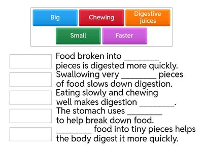 Keywords Drill Activity: Digestive System