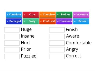 Vocabulary (Synonyms) 