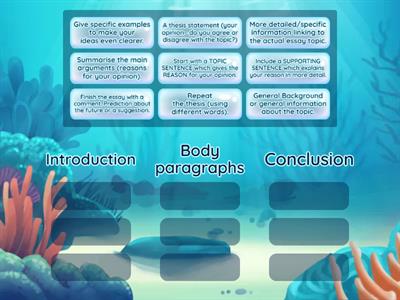 4 Essay structure revision