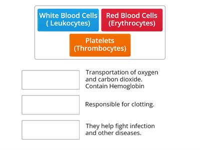 Blood Components