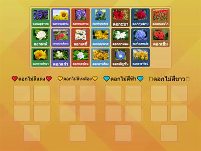 💐🌼🌻เกมแยกสีของดอกไม้ให้ถูกต้อง🌻🌼💐