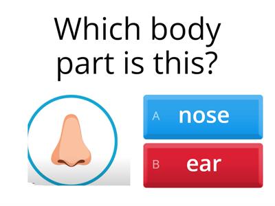  Body part 