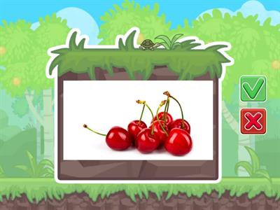 Food like/don't like