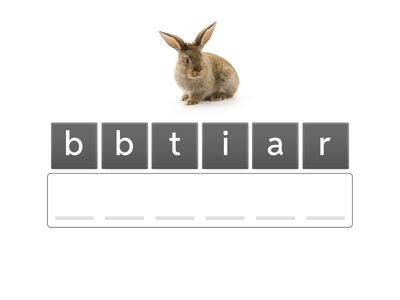 G4- WRITING PRACTICE 2