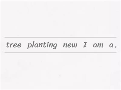 Present Continuous (Jumbled Words)