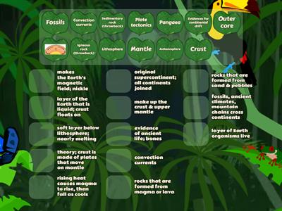 Continental Drift Vocabulary