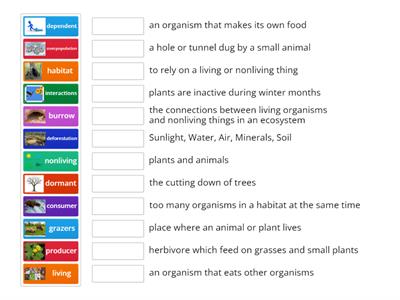 Interactions and Environment 