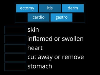 10.9 (#1) Greek Medica Forms