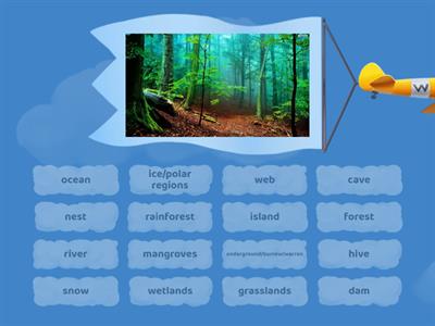 Animal Habitats Vocabulary 
