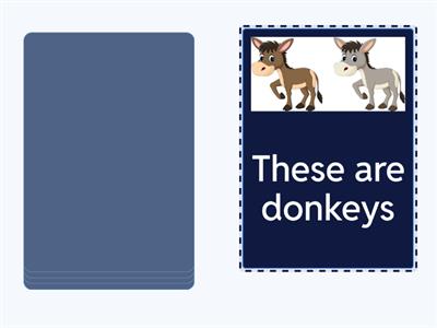 Starters Unit 1 Reading (Post reading - Speaking)