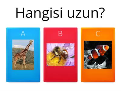 Zıt Kavramlar / Okulöncesi