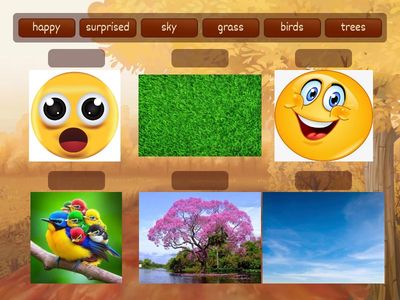 Global English 1 - Unit 1 - Vocavulary