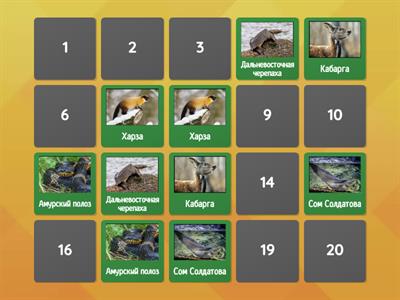 Мемори. Красная книга Амурской области