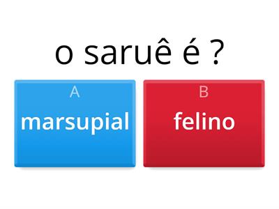 saruê quiz