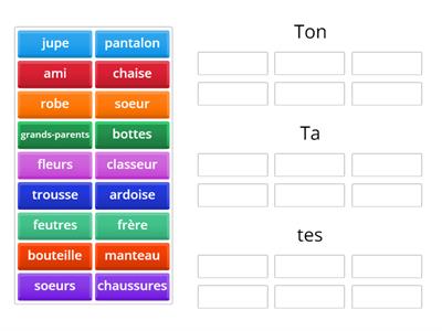 Adjectifs possessifs  *