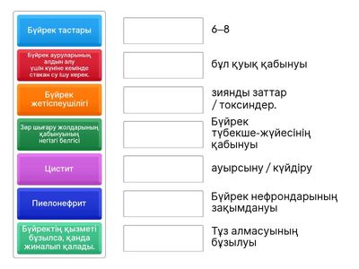 Сыртқа шығару жүйесі