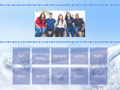 Online revision 2-Y1-T1