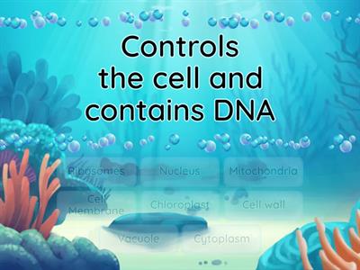 Cell structure and functions