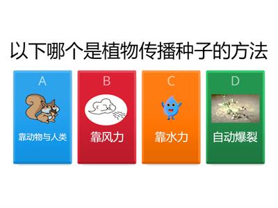 植物传播种子的方法