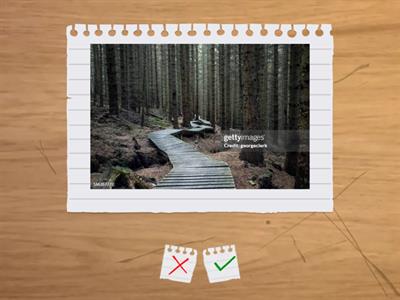 карпюк 7 с.140