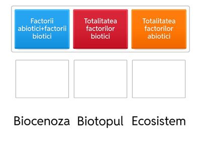 Ecosistem, Clasa a 5-a