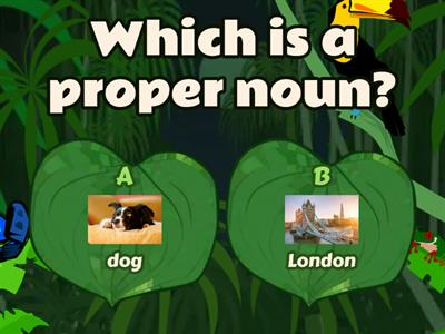 Proper vs common noun 
