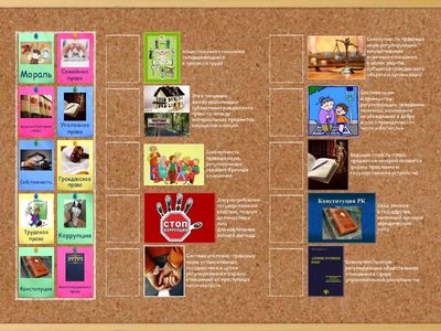 Основы права 