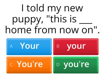 CAL -  Homophones: You're / you're / Your / your