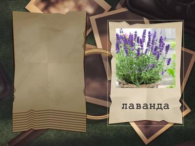 Звуки Л-В в одном слове