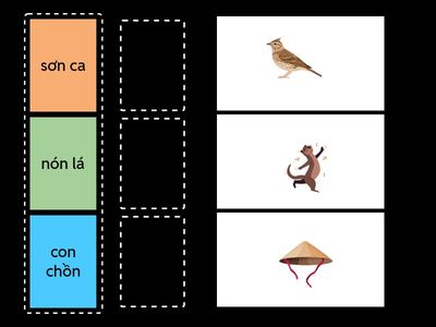 TỪ NGỮ ON , ƠN, ÔN