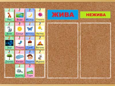 Жива і нежива природа. 