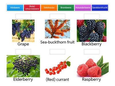 Beerenobst/Berries Deutsch /Englisch
