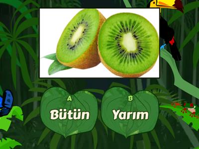 Bütün-Yarım