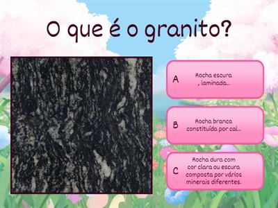 Estudo do Meio - 4º ano - 2º periodo