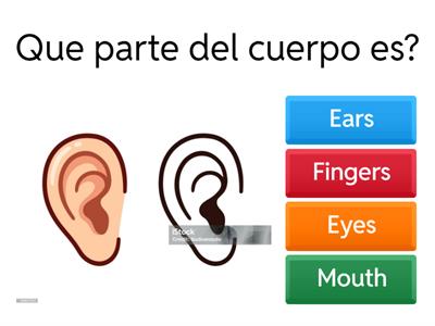 Partes Del Cuerpo en Ingles