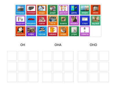 Род существительных