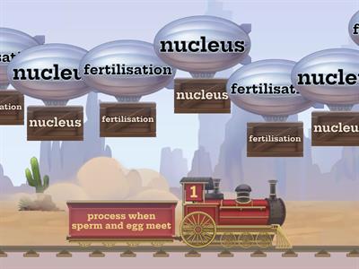 Inheritance key terms