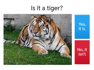 Learn with us 3 - Unit 1