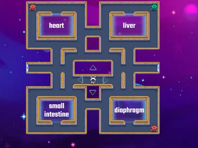 8a Biology Excretory System