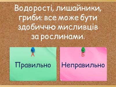 Узагальнювальні слова при однорідних членах 