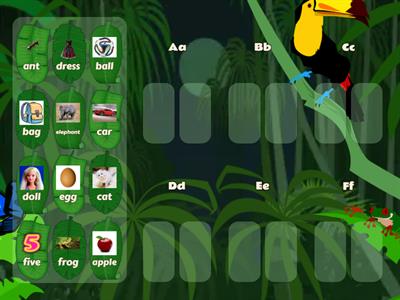 Academy stars/starter