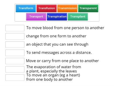 Trans prefix - match-up