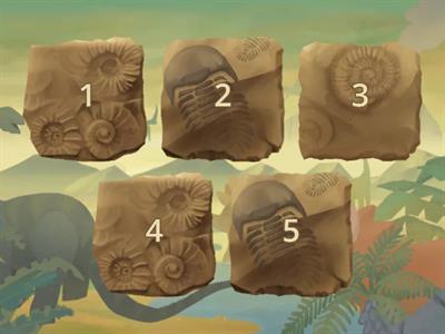 Пропорція Основна властивість пропорції  6кл