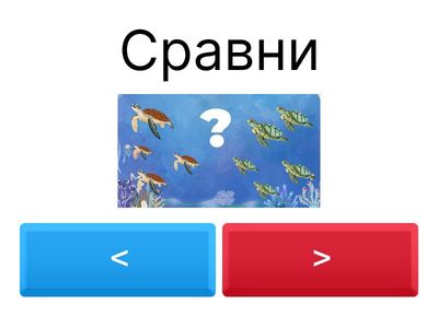 Остров "Равенства"