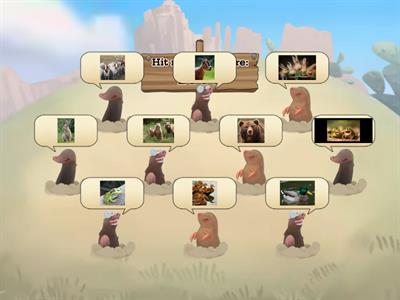 Plural nouns (animals)