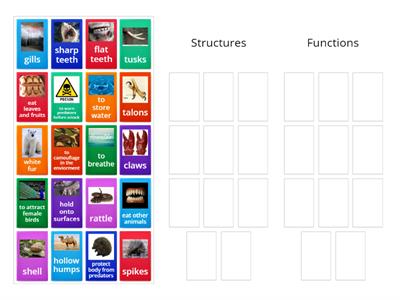 Structures v.s. Functions
