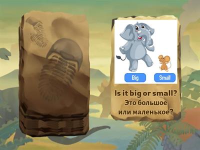 Starters constructions